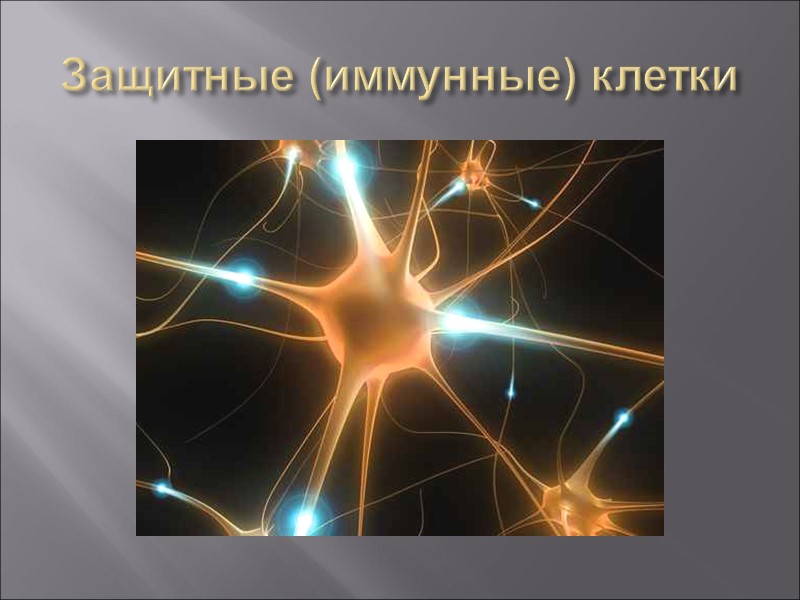 Защитные (иммунные) клетки